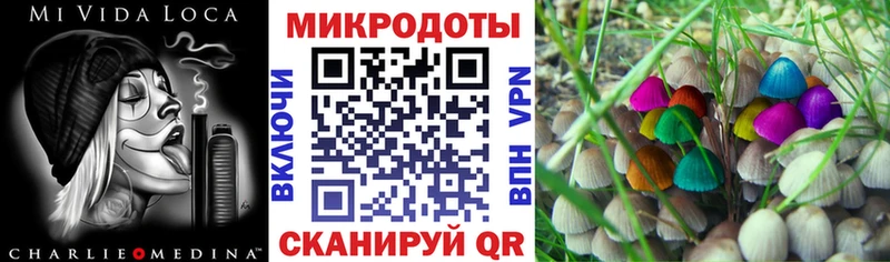 Галлюциногенные грибы Psilocybine cubensis  Сорск 